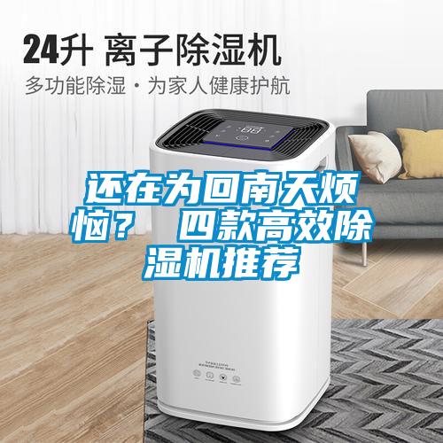 還在為回南天煩惱？ 四款高效除濕機推薦