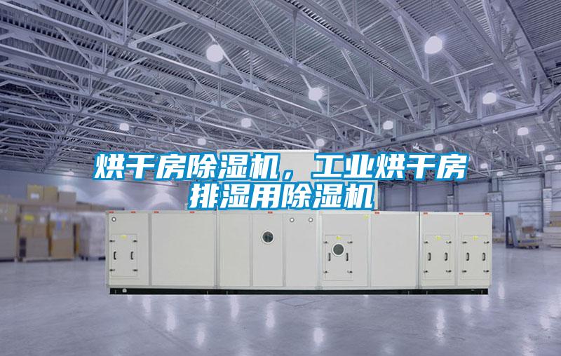 烘干房除濕機(jī)，工業(yè)烘干房排濕用除濕機(jī)