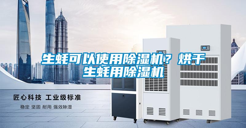 生蠔可以使用除濕機？烘干生蠔用除濕機
