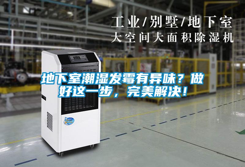 地下室潮濕發(fā)霉有異味？做好這一步，完美解決！