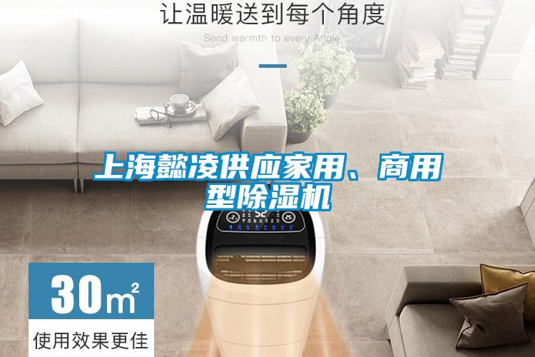 上海懿凌供應(yīng)家用、商用型除濕機