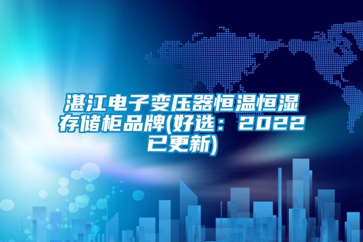 湛江電子變壓器恒溫恒濕存儲柜品牌(好選:2022已更新)