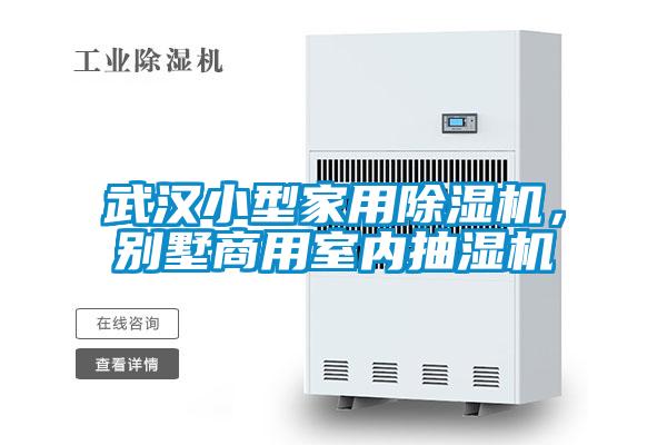 武漢小型家用除濕機，別墅商用室內(nèi)抽濕機