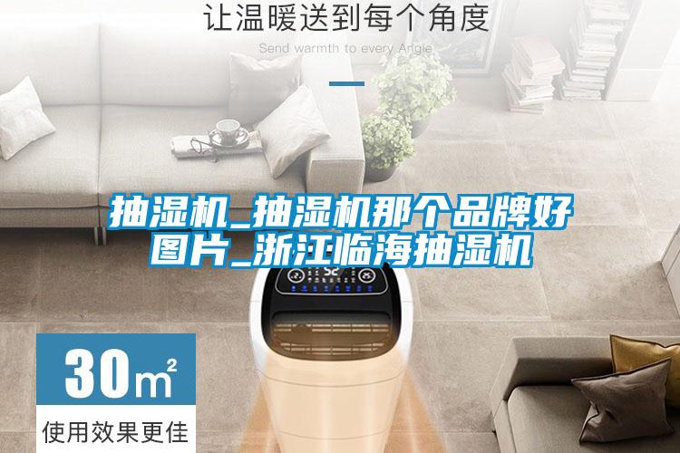 抽濕機(jī)_抽濕機(jī)那個品牌好圖片_浙江臨海抽濕機(jī)