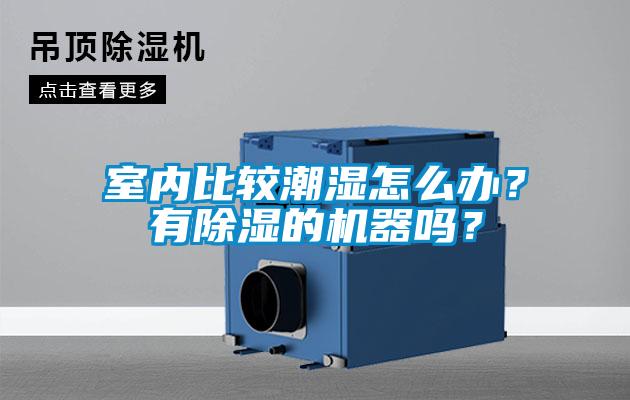 室內(nèi)比較潮濕怎么辦？有除濕的機器嗎？