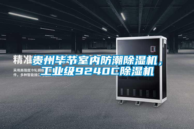 貴州畢節(jié)室內(nèi)防潮除濕機(jī)，工業(yè)級(jí)9240C除濕機(jī)