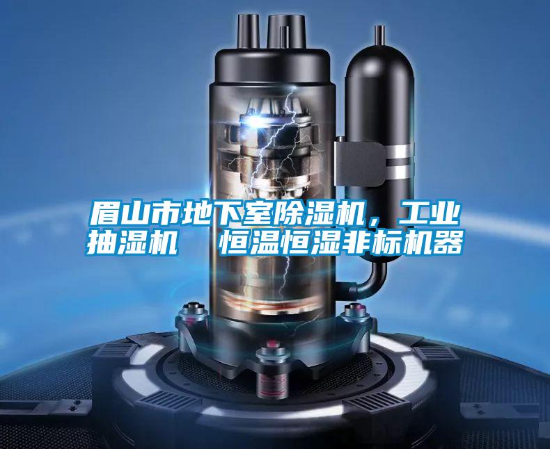 眉山市地下室除濕機，工業(yè)抽濕機  恒溫恒濕非標機器