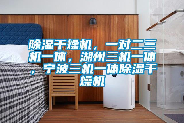 除濕干燥機，一對二三機一體，湖州三機一體，寧波三機一體除濕干燥機