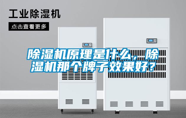 除濕機(jī)原理是什么，除濕機(jī)那個牌子效果好？