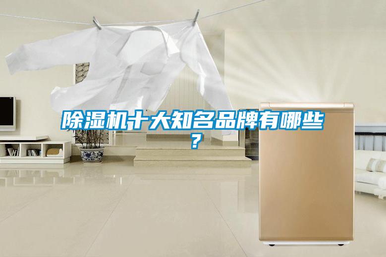 除濕機(jī)十大知名品牌有哪些？