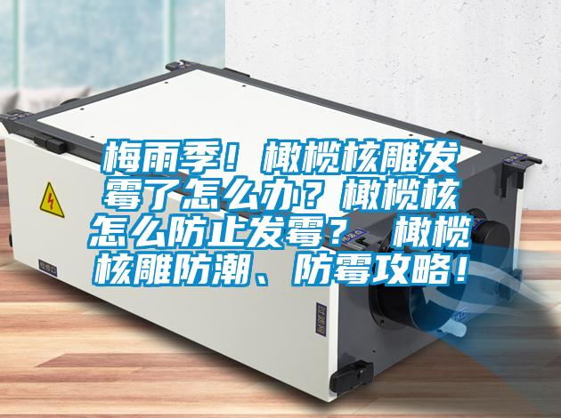 梅雨季！橄欖核雕發(fā)霉了怎么辦？橄欖核怎么防止發(fā)霉？ 橄欖核雕防潮、防霉攻略！