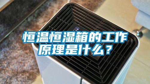 恒溫恒濕箱的工作原理是什么？