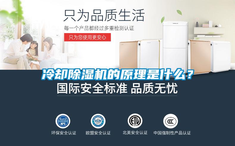 冷卻除濕機(jī)的原理是什么？