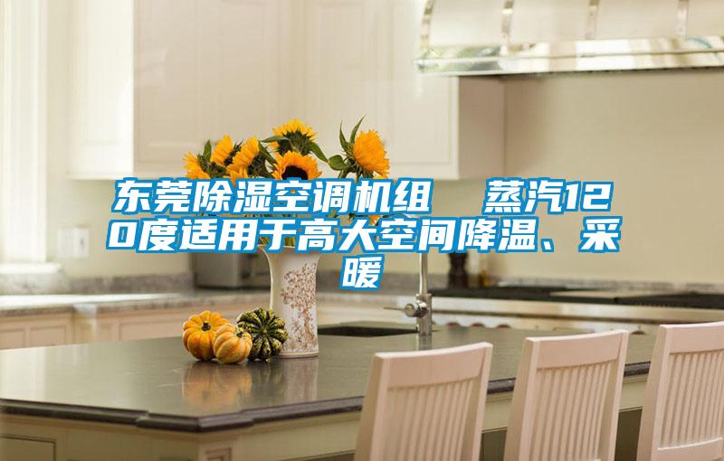 東莞除濕空調(diào)機(jī)組  蒸汽120度適用于高大空間降溫、采暖