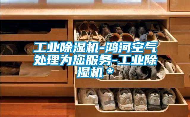 工業(yè)除濕機-鴻河空氣處理為您服務(wù)-工業(yè)除濕機*