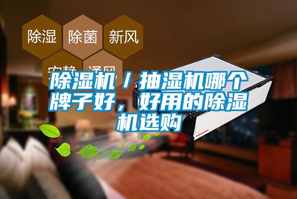 除濕機／抽濕機哪個牌子好，好用的除濕機選購