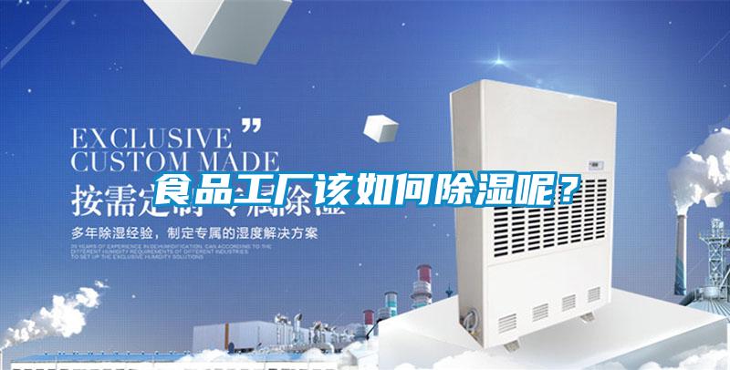 食品工廠該如何除濕呢？