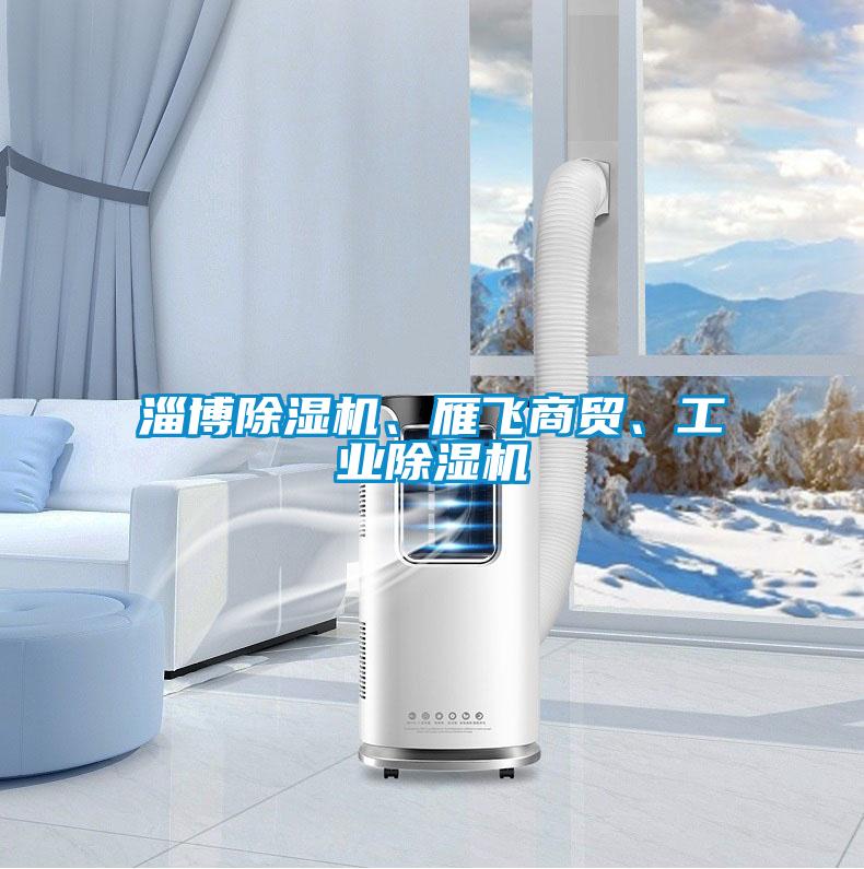 淄博除濕機(jī)、雁飛商貿(mào)、工業(yè)除濕機(jī)