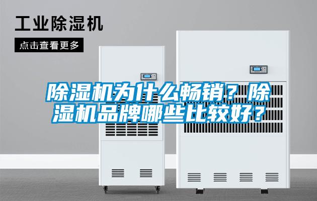 除濕機(jī)為什么暢銷？除濕機(jī)品牌哪些比較好？