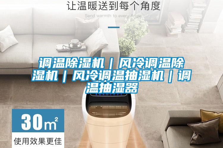 調(diào)溫除濕機|風(fēng)冷調(diào)溫除濕機|風(fēng)冷調(diào)溫抽濕機|調(diào)溫抽濕器