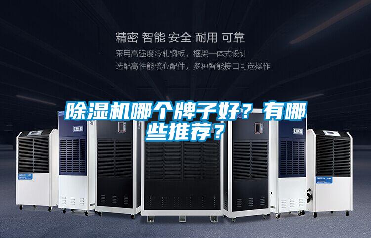 除濕機(jī)哪個牌子好？有哪些推薦？