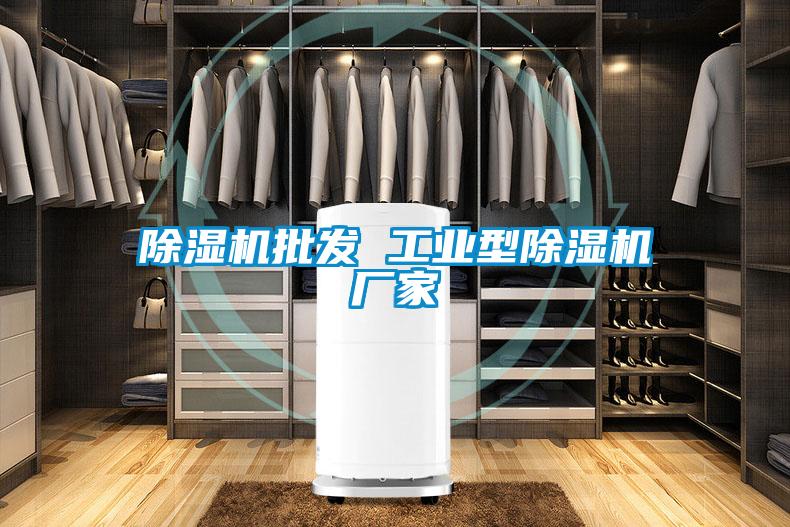 除濕機(jī)批發(fā) 工業(yè)型除濕機(jī)廠(chǎng)家