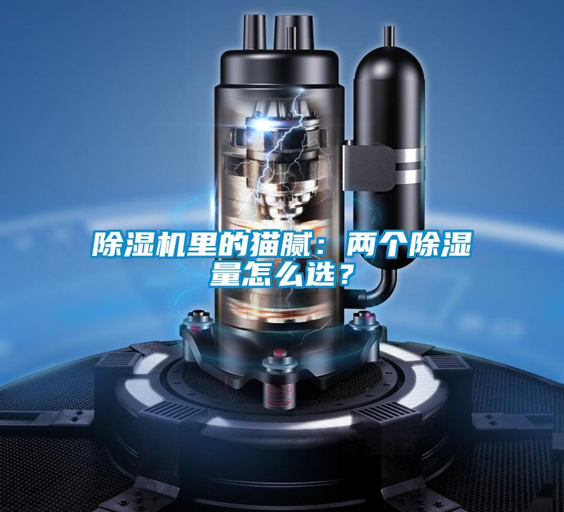 除濕機(jī)里的貓膩：兩個除濕量怎么選？