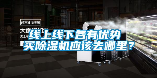 線上線下各有優(yōu)勢 買除濕機應(yīng)該去哪里？