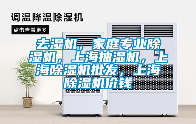 去濕機，家庭專業(yè)除濕機，上海抽濕機，上海除濕機批發(fā)，上海除濕機價錢