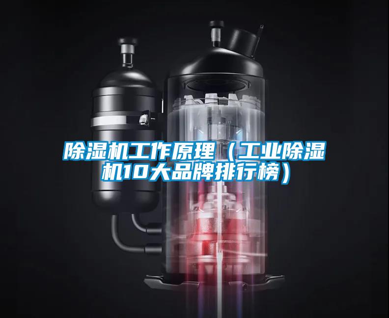 除濕機工作原理(工業(yè)除濕機10大品牌排行榜)