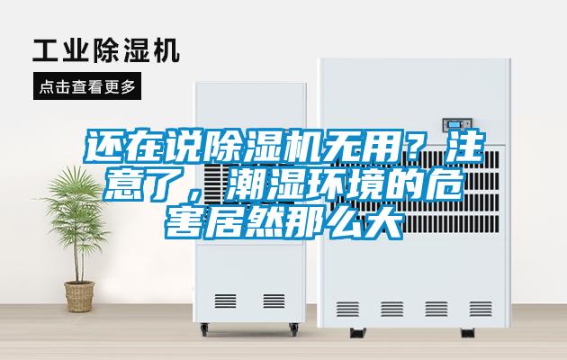 還在說除濕機(jī)無(wú)用？注意了，潮濕環(huán)境的危害居然那么大