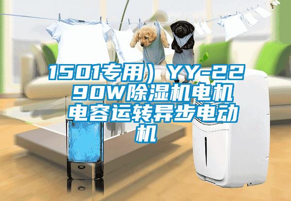 1501專用)YY-22 90W除濕機電機 電容運轉(zhuǎn)異步電動機