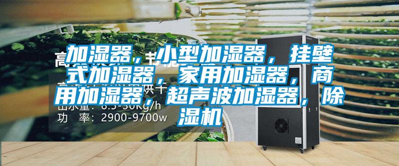 加濕器，小型加濕器，掛壁式加濕器，家用加濕器，商用加濕器，超聲波加濕器，除濕機(jī)