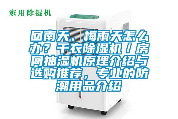 回南天、梅雨天怎么辦？干衣除濕機(jī)／房間抽濕機(jī)原理介紹與選購(gòu)?fù)扑]，專業(yè)的防潮用品介紹