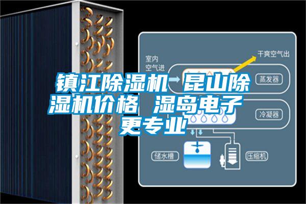 鎮(zhèn)江除濕機(jī) 昆山除濕機(jī)價格 濕島電子 更專業(yè)