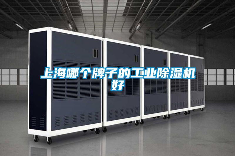 上海哪個牌子的工業(yè)除濕機(jī)好