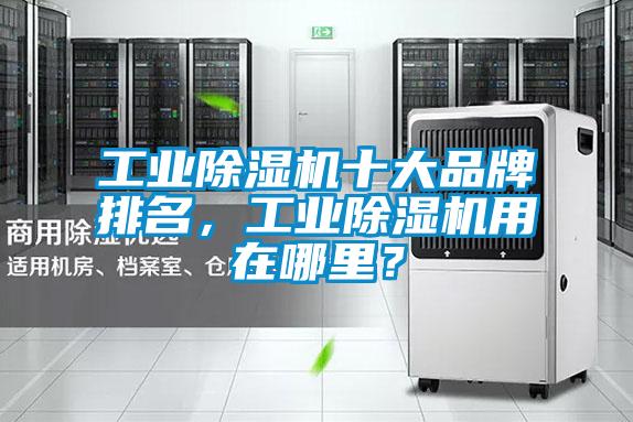 工業(yè)除濕機十大品牌排名，工業(yè)除濕機用在哪里？