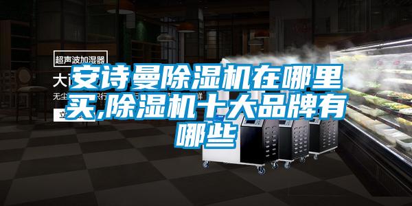 安詩(shī)曼除濕機(jī)在哪里買(mǎi),除濕機(jī)十大品牌有哪些