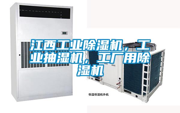江西工業(yè)除濕機，工業(yè)抽濕機，工廠用除濕機
