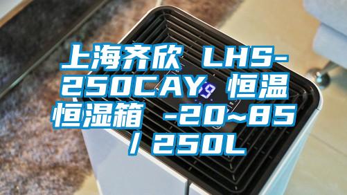 上海齊欣 LHS-250CAY 恒溫恒濕箱 -20~85℃/250L