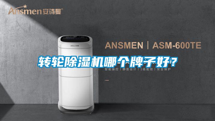 轉(zhuǎn)輪除濕機(jī)哪個牌子好？