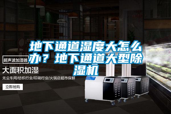 地下通道濕度大怎么辦？地下通道大型除濕機(jī)