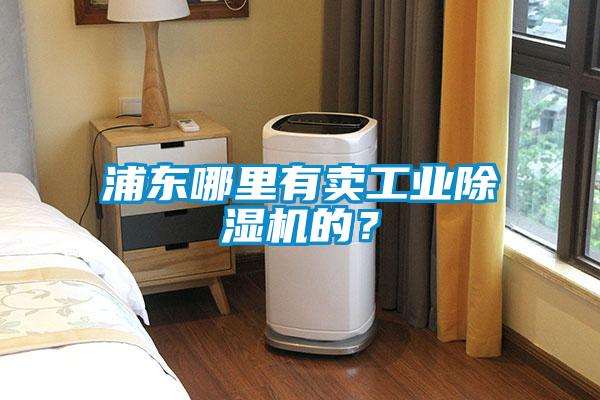 浦東哪里有賣(mài)工業(yè)除濕機(jī)的？