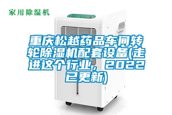 重慶松越藥品車間轉(zhuǎn)輪除濕機配套設備(走進這個行業(yè),2022已更新)