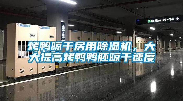 烤鴨晾干房用除濕機，大大提高烤鴨鴨胚晾干速度