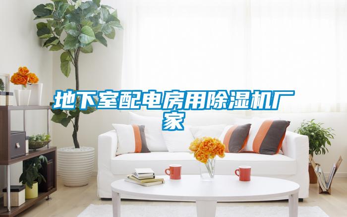 地下室配電房用除濕機(jī)廠家
