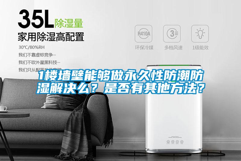 1樓墻壁能夠做永久性防潮防濕解決么？是否有其他方法？