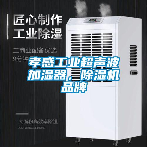 孝感工業(yè)超聲波加濕器,除濕機(jī)品牌