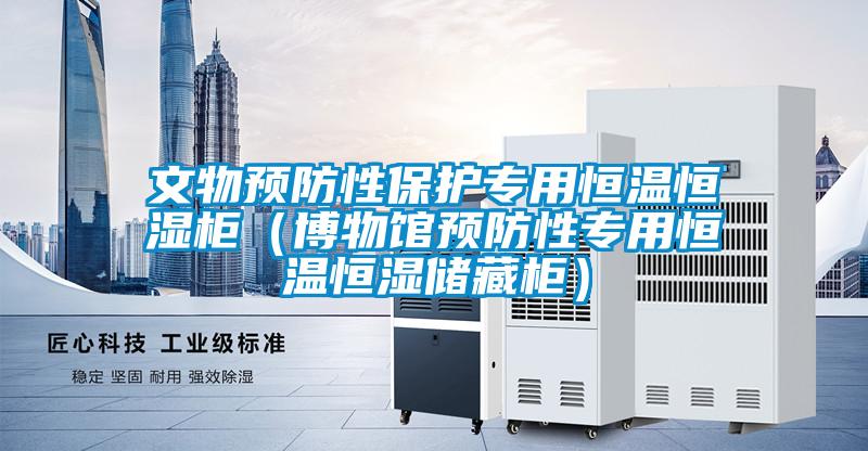 文物預(yù)防性保護(hù)專用恒溫恒濕柜(博物館預(yù)防性專用恒溫恒濕儲藏柜)