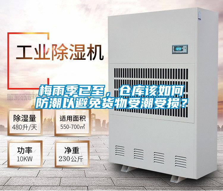 梅雨季已至，倉庫該如何防潮以避免貨物受潮受損？